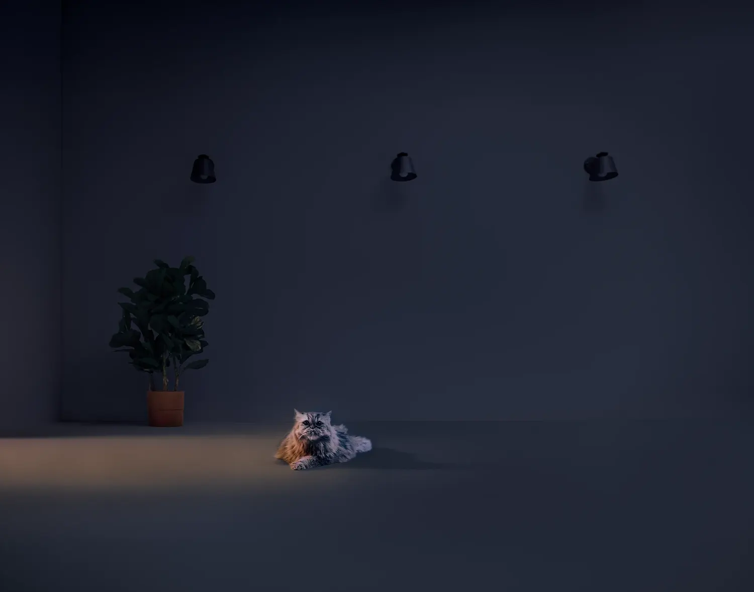 WiZ · Lights: Retoque publicitario